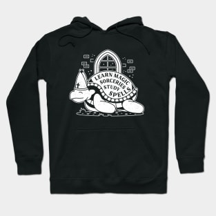 Pastor Turtle Hoodie